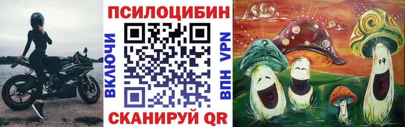 Псилоцибиновые грибы Cubensis  Чухлома 